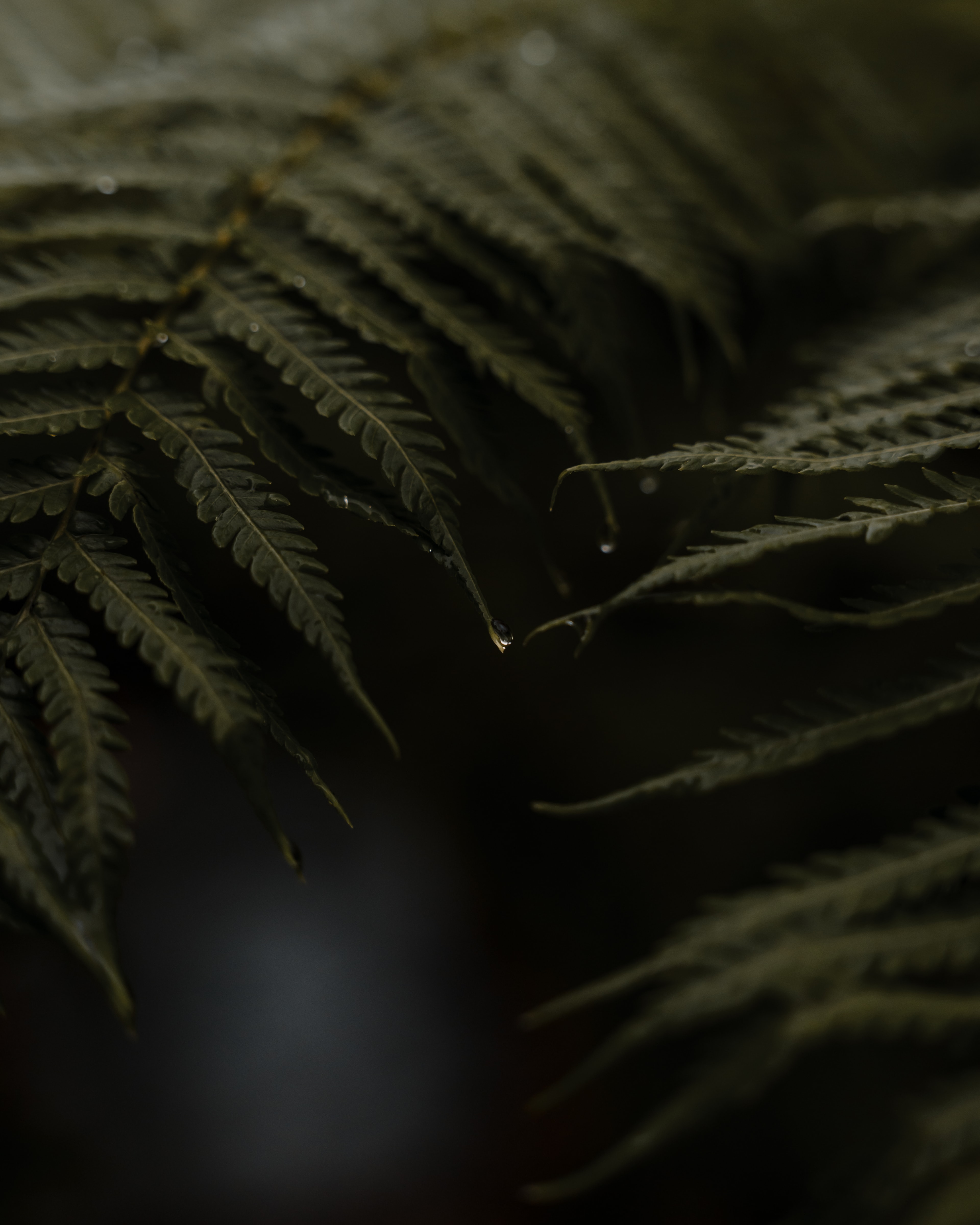 mountain background